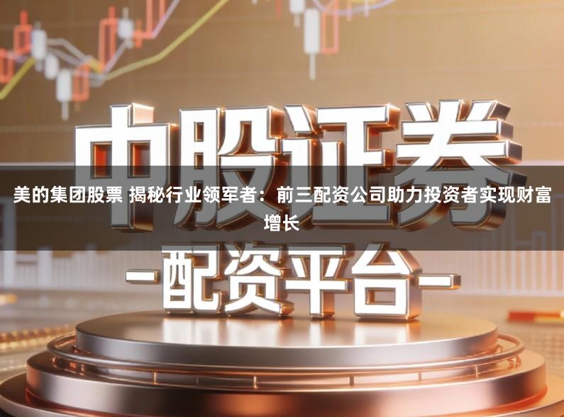 美的集团股票 揭秘行业领军者：前三配资公司助力投资者实现财富增长