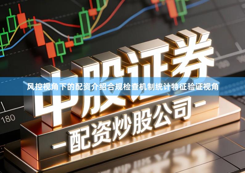 风控视角下的配资介绍合规检查机制统计特征验证视角