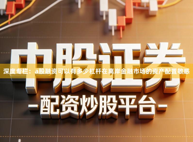 深度专栏：a股融资可以有多少杠杆在离岸金融市场的资产配置敏感