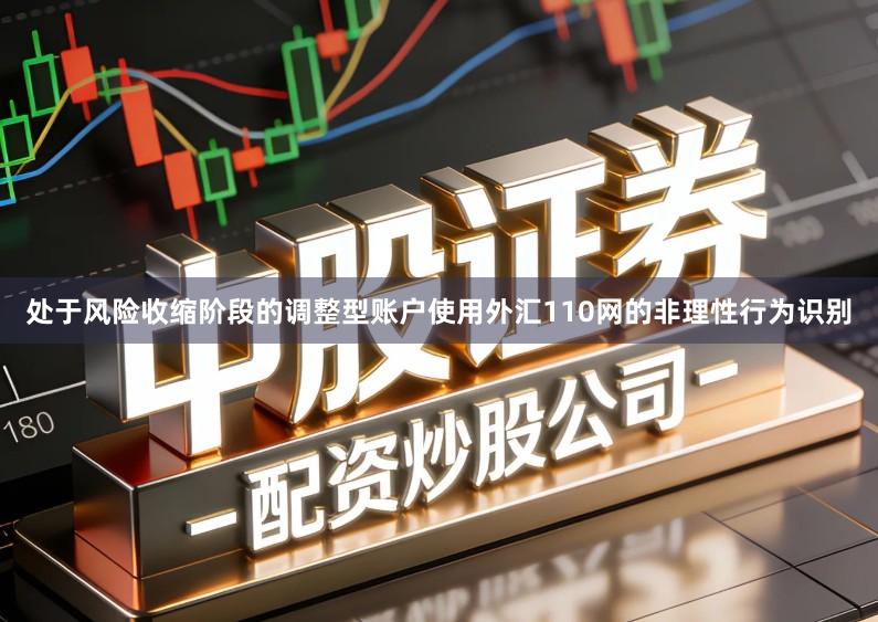 处于风险收缩阶段的调整型账户使用外汇110网的非理性行为识别